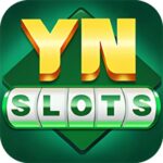 YN SLOTS APK | YN SLOTS APP | YN SLOTS APP LINK | YN SLOTS APPS |